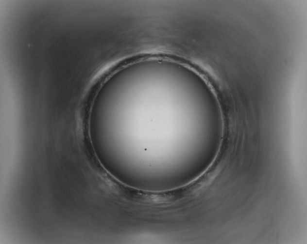 X0000115261311200911061231