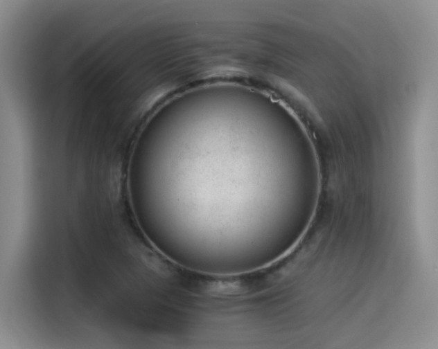 X0000115261313200911061231