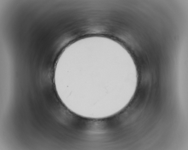 X0000115261314200911061231