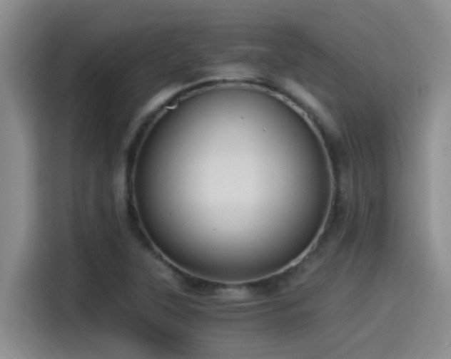 X0000115261315200911061231