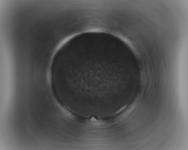 X0000115261319200911061231