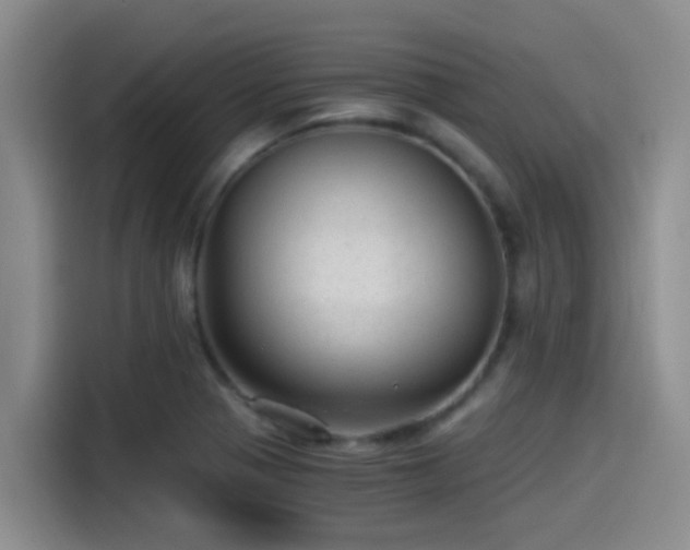 X0000115261321200911061231