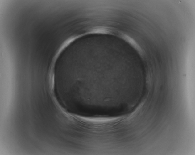 X0000115261323200911061231