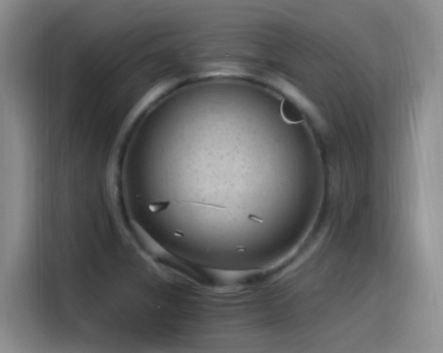X0000115261325200911061231