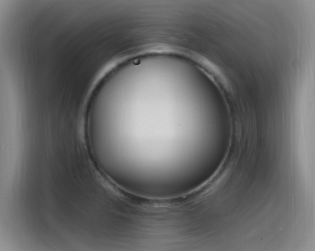 X0000115261326200911061231