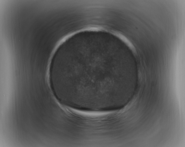 X0000115261327200911061231