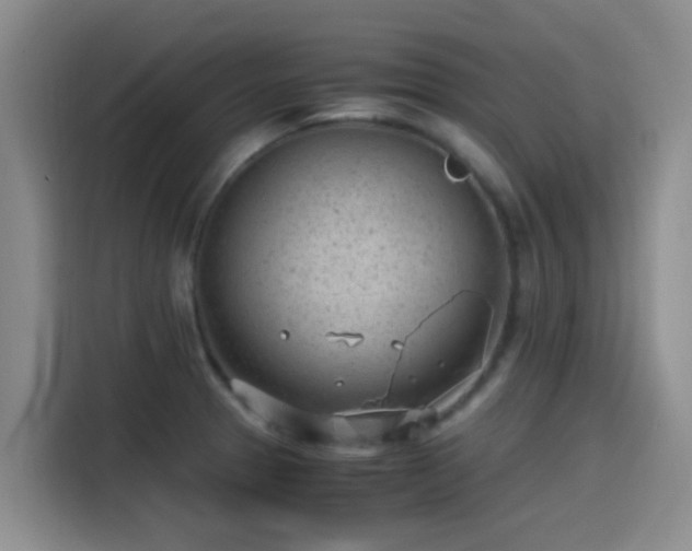 X0000115261329200911061231