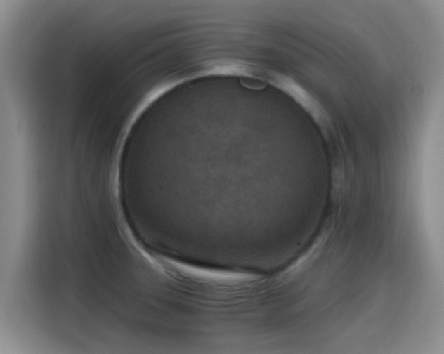 X0000115261331200911061231