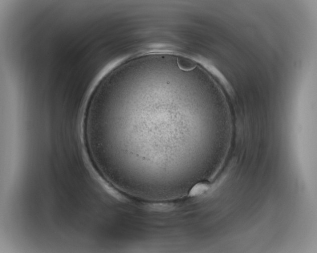 X0000115261333200911061231