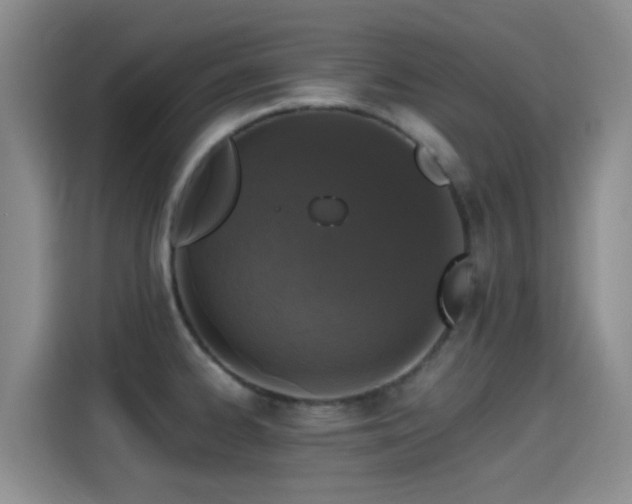X0000115261334200911061231