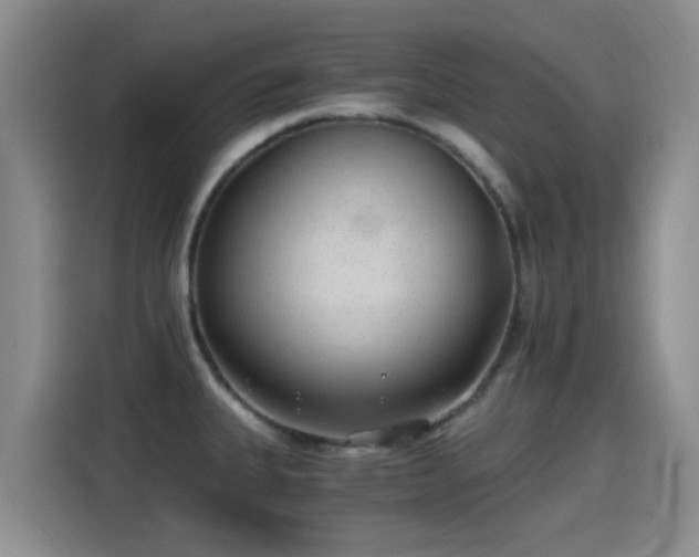 X0000115261335200911061231