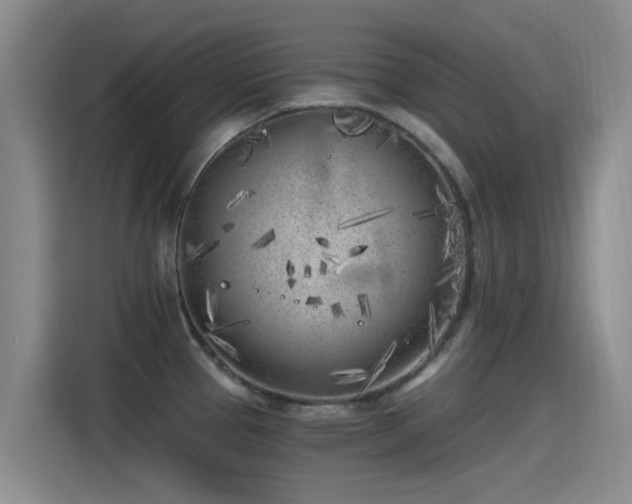 X0000115261337200911061231