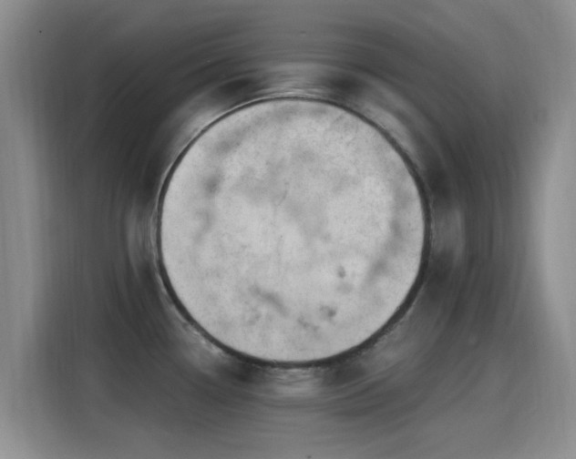 X0000115261338200911061231
