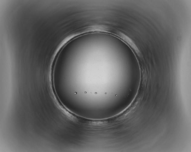 X0000115261339200911061231
