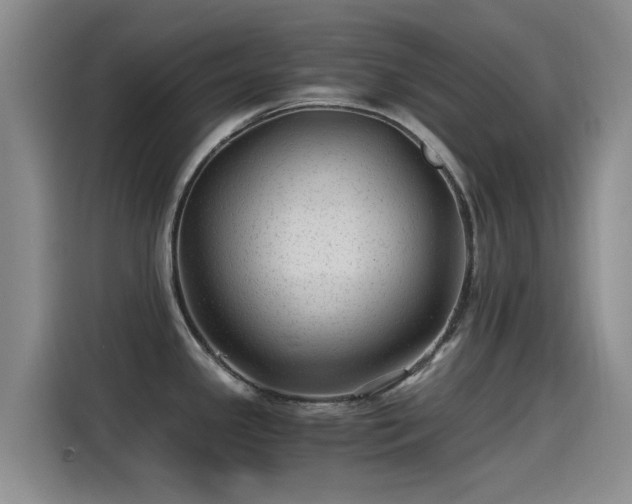 X0000115261341200911061231