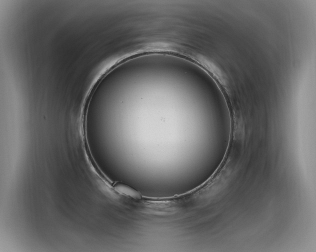 X0000115261342200911061231