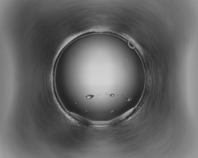 X0000115261343200911061231