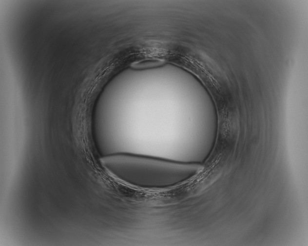 X0000115261345200911061231