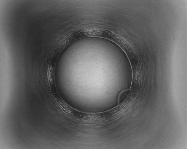 X0000115261346200911061231