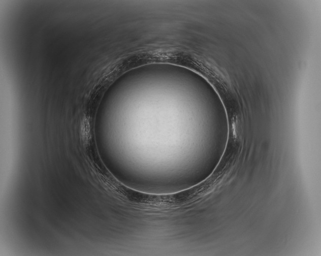 X0000115261347200911061231