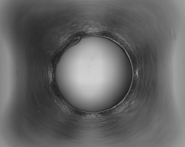 X0000115261348200911061230