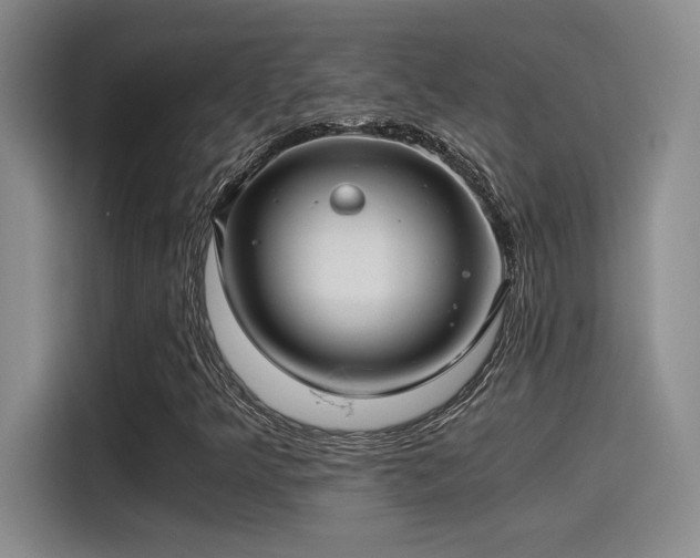 X0000115261349200911061230