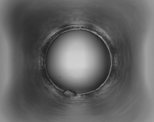 X0000115261352200911061230