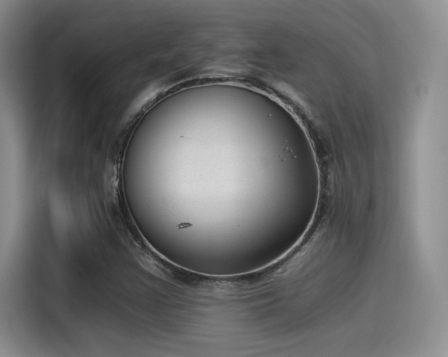 X0000115261355200911061230