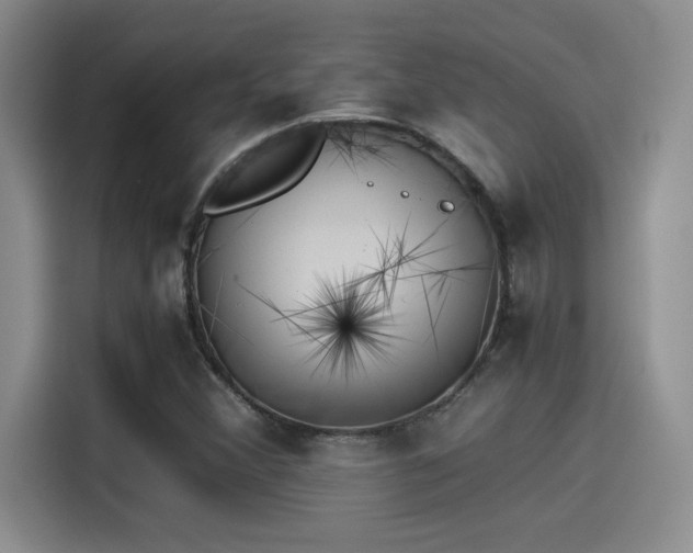 X0000115261356200911061230