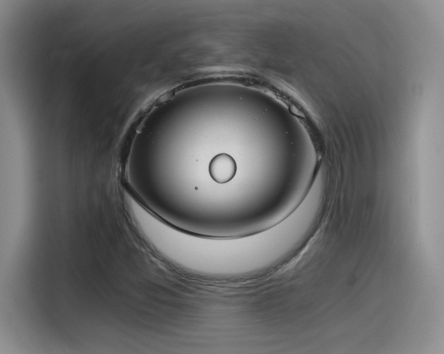 X0000115261357200911061230