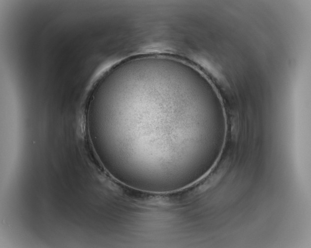 X0000115261358200911061230