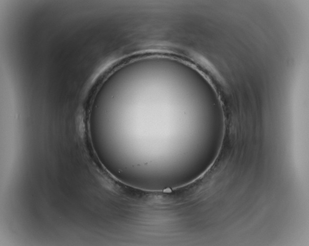 X0000115261360200911061230