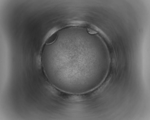 X0000115261362200911061230