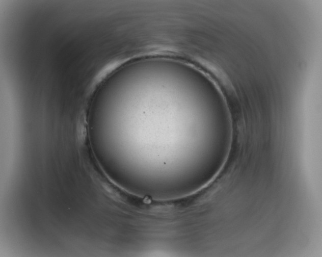 X0000115261363200911061230