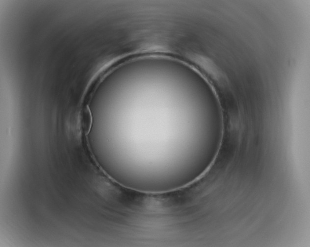 X0000115261364200911061230