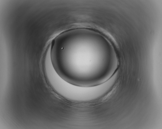 X0000115261365200911061230