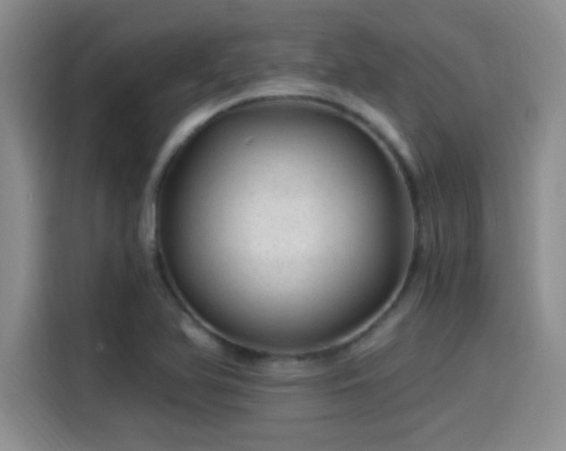 X0000115261366200911061230