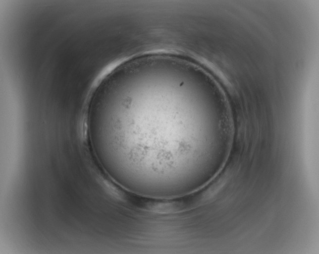X0000115261367200911061230