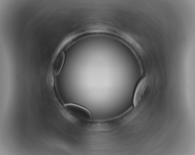X0000115261368200911061230