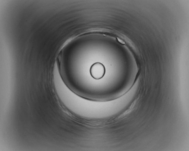 X0000115261369200911061230