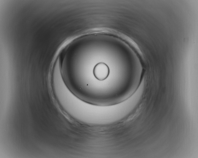 X0000115261373200911061230