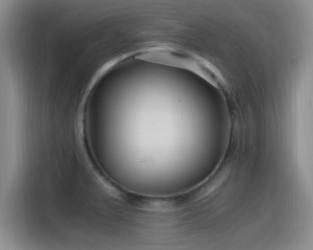 X0000115261375200911061230