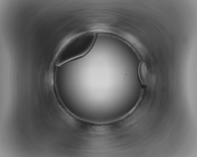 X0000115261376200911061230