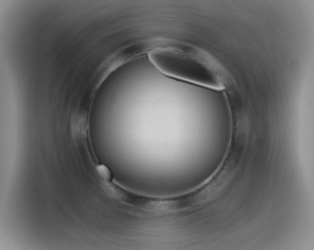 X0000115261377200911061230