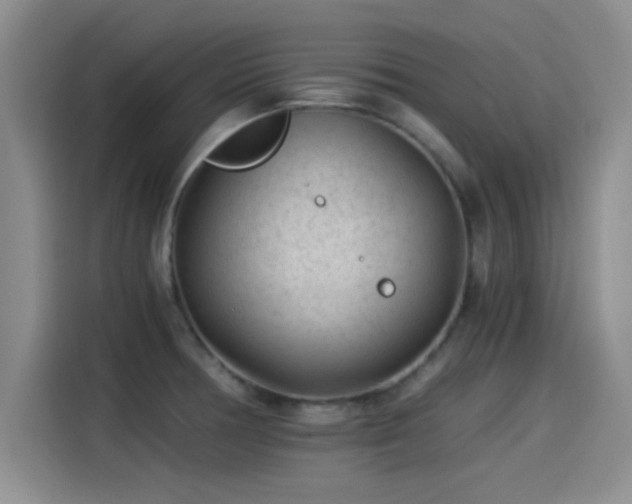 X0000115261378200911061230