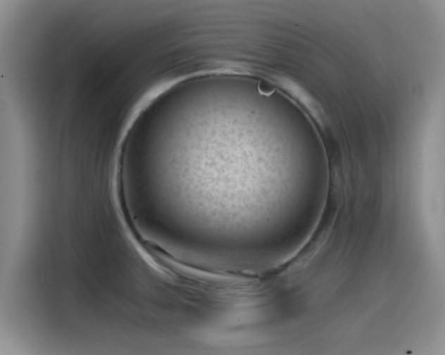 X0000115261379200911061230