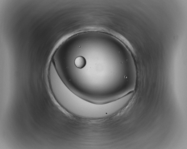 X0000115261381200911061230