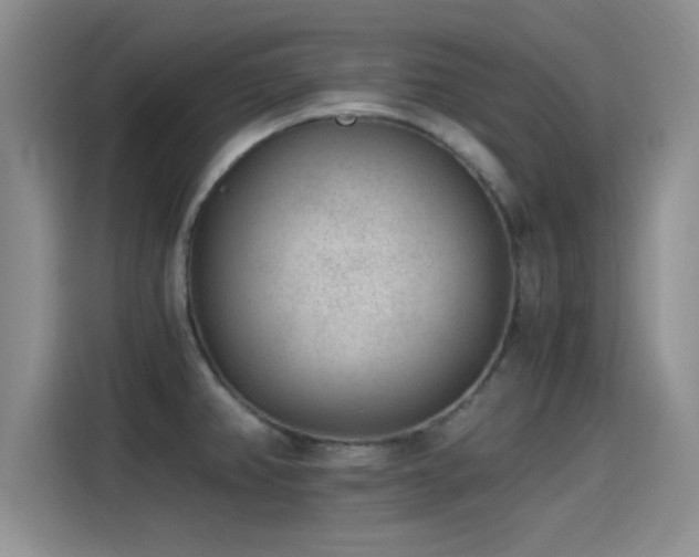 X0000115261382200911061230