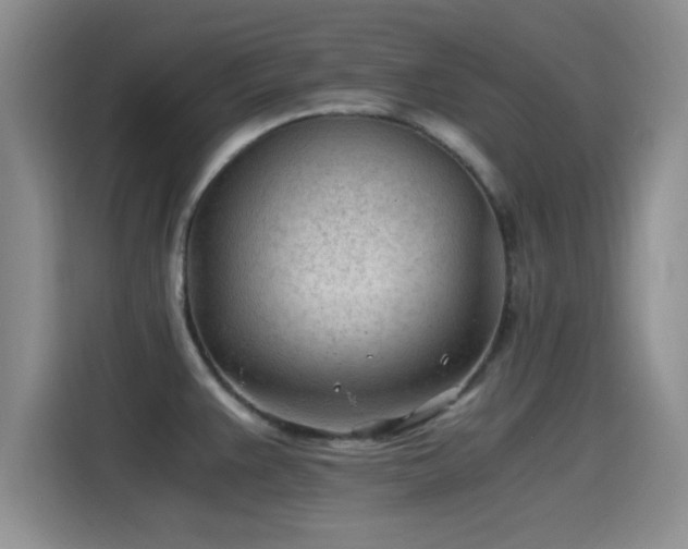 X0000115261383200911061230