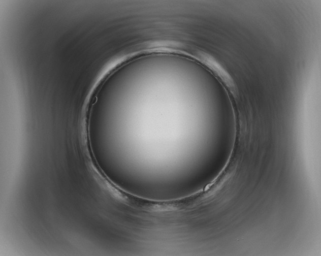 X0000115261384200911061230